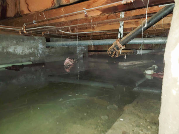 Best Water damage restoration near me  in Cuba, MO