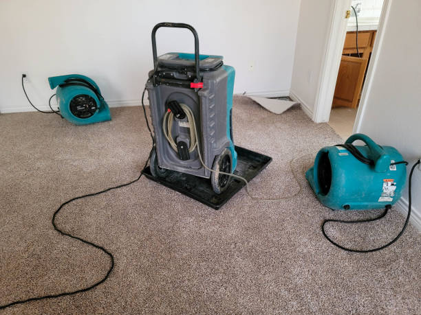 Cuba, MO Water damage restoration Pros