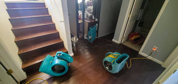 Best Professional water damage repair  in Cuba, MO