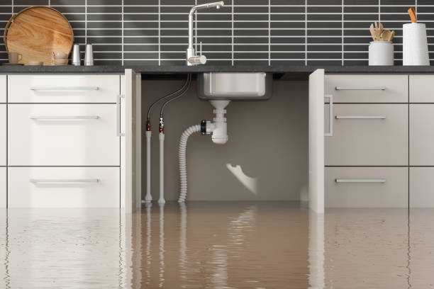 Best Commercial water damage restoration  in Cuba, MO
