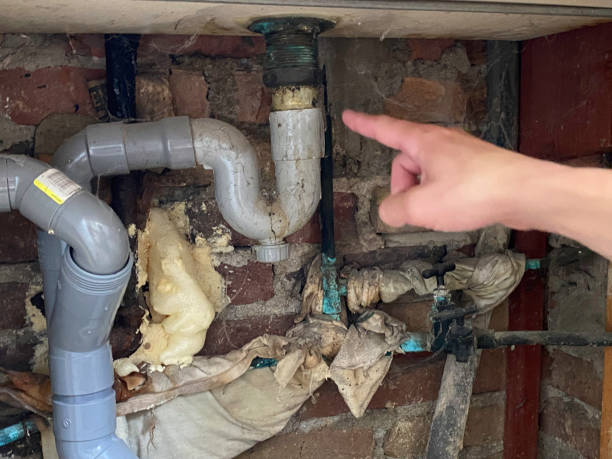 Best Ceiling water damage repair  in Cuba, MO