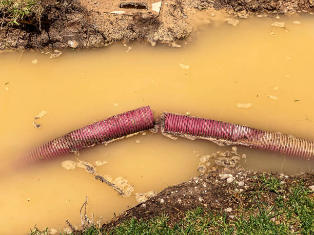 Best Emergency water extraction  in Cuba, MO