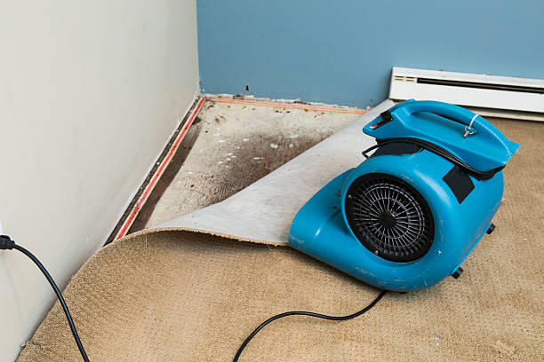 Reliable Cuba, MO Water damage restoration Solutions